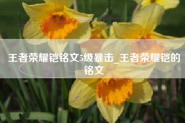 王者荣耀铠铭文5级暴击_王者荣耀铠的铭文