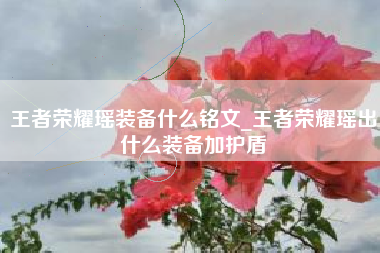 王者荣耀瑶装备什么铭文_王者荣耀瑶出什么装备加护盾