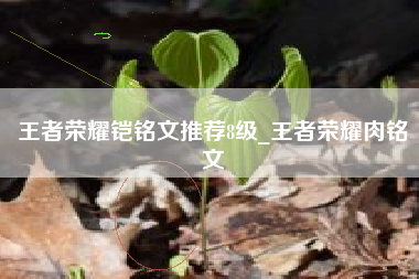 王者荣耀铠铭文推荐8级_王者荣耀肉铭文