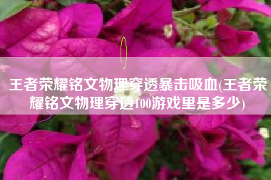 王者荣耀铭文物理穿透暴击吸血(王者荣耀铭文物理穿透100游戏里是多少)