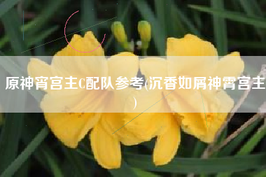 原神宵宫主C配队参考(沉香如屑神霄宫主)