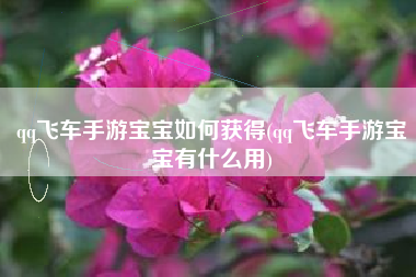qq飞车手游宝宝如何获得(qq飞车手游宝宝有什么用)