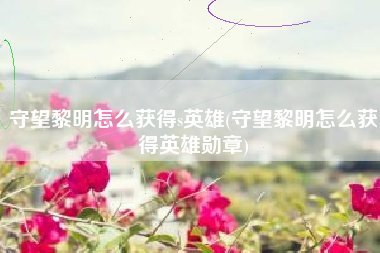 守望黎明怎么获得s英雄(守望黎明怎么获得英雄勋章)