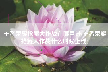 王者荣耀抢鲲大作战在哪里进(王者荣耀抢鲲大作战什么时候上线)
