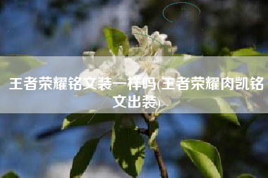 王者荣耀铭文装一样吗(王者荣耀肉凯铭文出装)