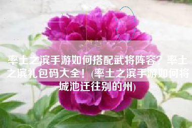 率土之滨手游如何搭配武将阵容？率土之滨礼包码大全！(率土之滨手游如何将城池迁往别的州)