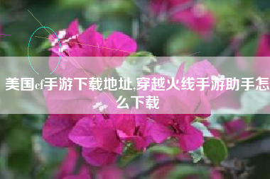 美国cf手游下载地址,穿越火线手游助手怎么下载