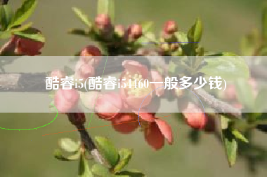 酷睿i5(酷睿i54460一般多少钱)