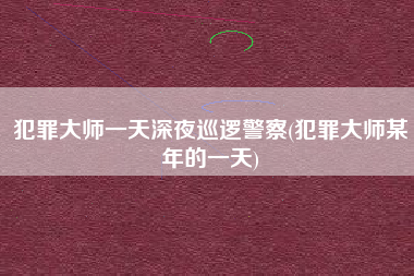犯罪大师一天深夜巡逻警察(犯罪大师某年的一天)