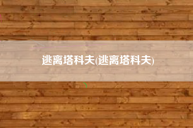 逃离塔科夫(逃离塔科夫)