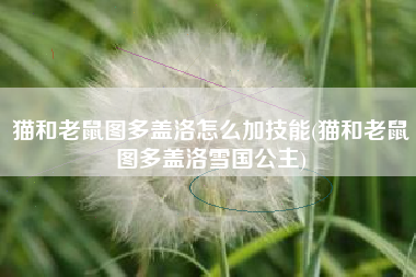 猫和老鼠图多盖洛怎么加技能(猫和老鼠图多盖洛雪国公主)
