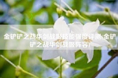 金铲铲之战华剑战姬技能强度评测(金铲铲之战华剑战姬阵容)
