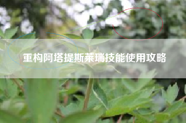 重构阿塔提斯莱瑞技能使用攻略