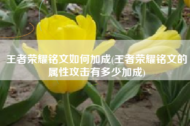 王者荣耀铭文如何加成(王者荣耀铭文的属性攻击有多少加成)