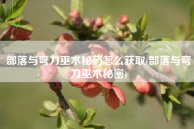 部落与弯刀巫术秘药怎么获取(部落与弯刀巫术秘密)