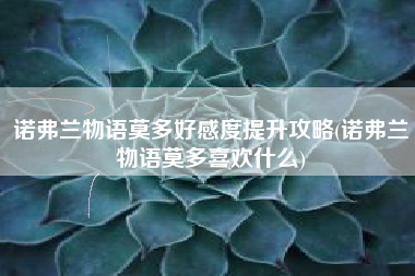 诺弗兰物语莫多好感度提升攻略(诺弗兰物语莫多喜欢什么)