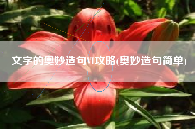 文字的奥妙造句VI攻略(奥妙造句简单)