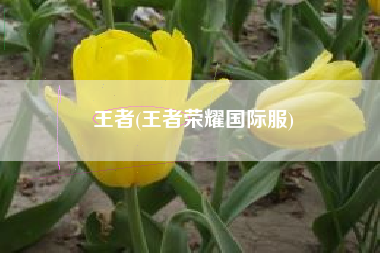 王者(王者荣耀国际服)