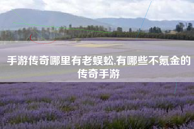 手游传奇哪里有老蜈蚣,有哪些不氪金的传奇手游