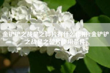 金铲铲之战星之碎片有什么作用 (金铲铲之战星之碎片使用条件)