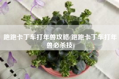 跑跑卡丁车打年兽攻略(跑跑卡丁车打年兽必杀技)