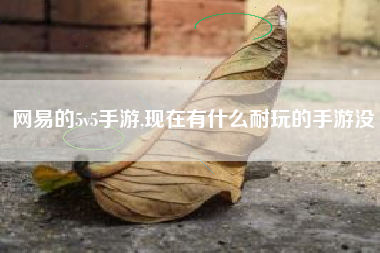 网易的5v5手游,现在有什么耐玩的手游没