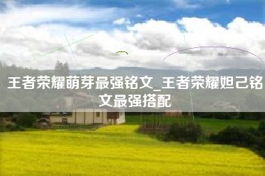 王者荣耀萌芽最强铭文_王者荣耀妲己铭文最强搭配