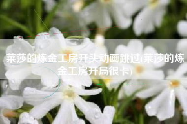莱莎的炼金工房开头动画跳过(莱莎的炼金工房开局很卡)