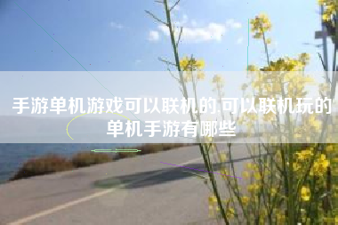 手游单机游戏可以联机的,可以联机玩的单机手游有哪些