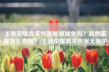 王者荣耀真实伤害能被减免吗？真伤英雄怎么克制？(王者荣耀真实伤害无视护甲吗)