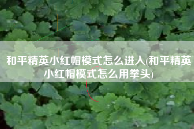 和平精英小红帽模式怎么进入(和平精英小红帽模式怎么用拳头)