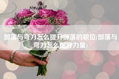 部落与弯刀怎么提升部落的职位(部落与弯刀怎么提升力量)