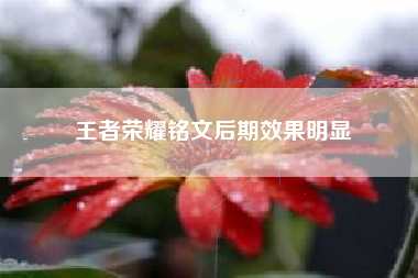 王者荣耀铭文后期效果明显