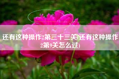 还有这种操作2第三十三关(还有这种操作2第9关怎么过)