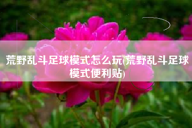 荒野乱斗足球模式怎么玩(荒野乱斗足球模式便利贴)