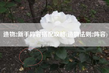 造物2新手阵容搭配攻略(造物法则2阵容)
