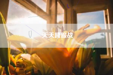 天天跨服战