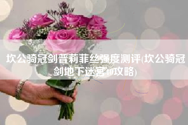 坎公骑冠剑普莉菲丝强度测评(坎公骑冠剑地下迷宫40攻略)