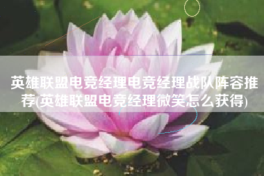 英雄联盟电竞经理电竞经理战队阵容推荐(英雄联盟电竞经理微笑怎么获得)