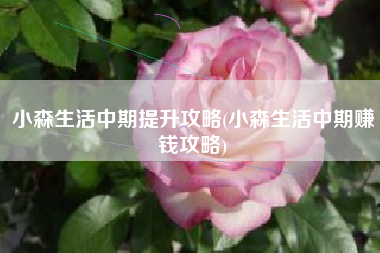 小森生活中期提升攻略(小森生活中期赚钱攻略)