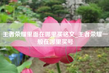 王者荣耀里面在哪里买铭文_王者荣耀一般在哪里买号