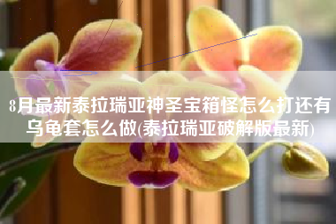 8月最新泰拉瑞亚神圣宝箱怪怎么打还有乌龟套怎么做(泰拉瑞亚破解版最新)