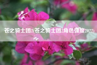 苍之骑士团2(苍之骑士团2角色强度2022)