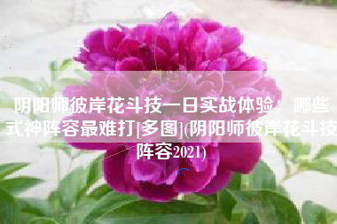 阴阳师彼岸花斗技一日实战体验：哪些式神阵容最难打[多图](阴阳师彼岸花斗技阵容2021)