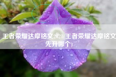 王者荣耀达摩铭文2021(王者荣耀达摩铭文先升哪个)