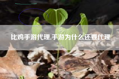 比鸡手游代理,手游为什么还要代理