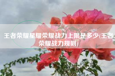 王者荣耀星耀荣耀战力上限是多少(王者荣耀战力规则)