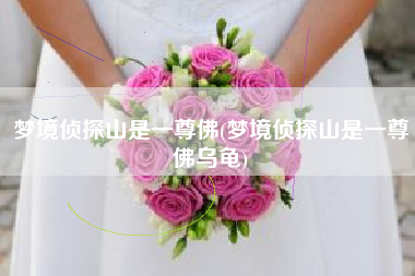 梦境侦探山是一尊佛(梦境侦探山是一尊佛乌龟)