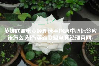 英雄联盟电竞经理选手招聘中心标签应该怎么选择(英雄联盟电竞经理官网)