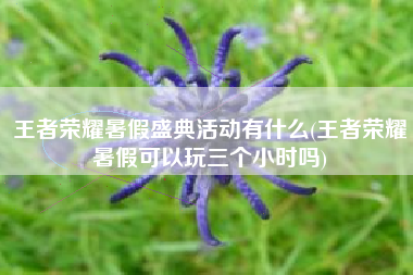 王者荣耀暑假盛典活动有什么(王者荣耀暑假可以玩三个小时吗)